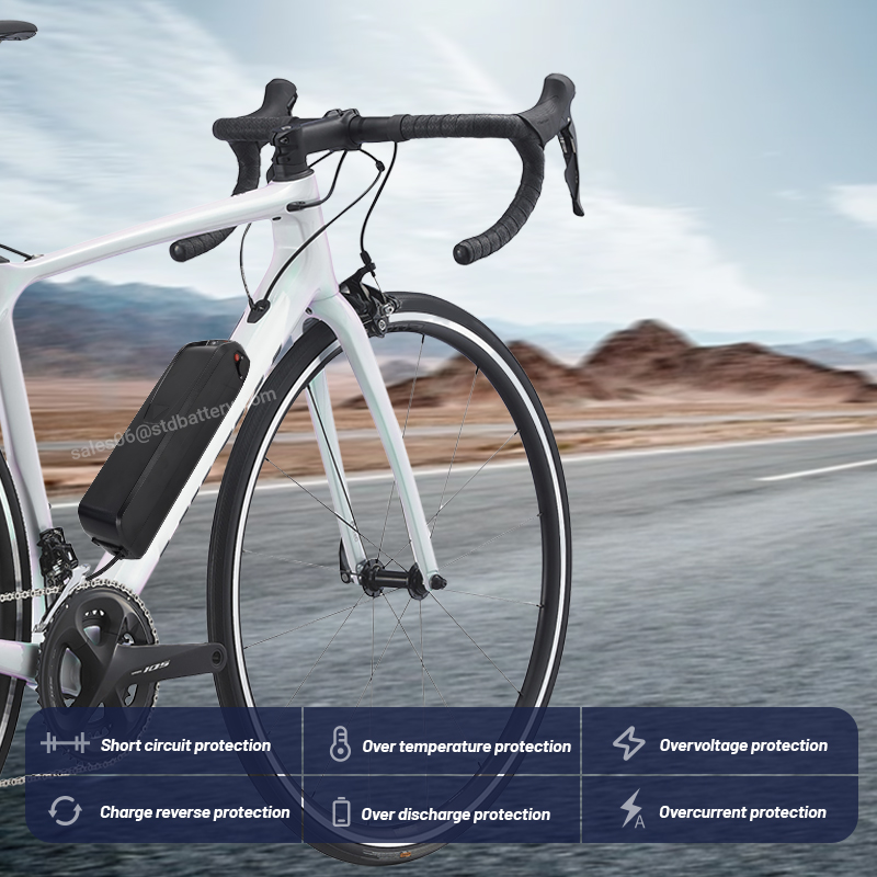 ALX Hailong ebike batería 36v  - Ebike Battery 48V 20Ah Hailong reseña y precio